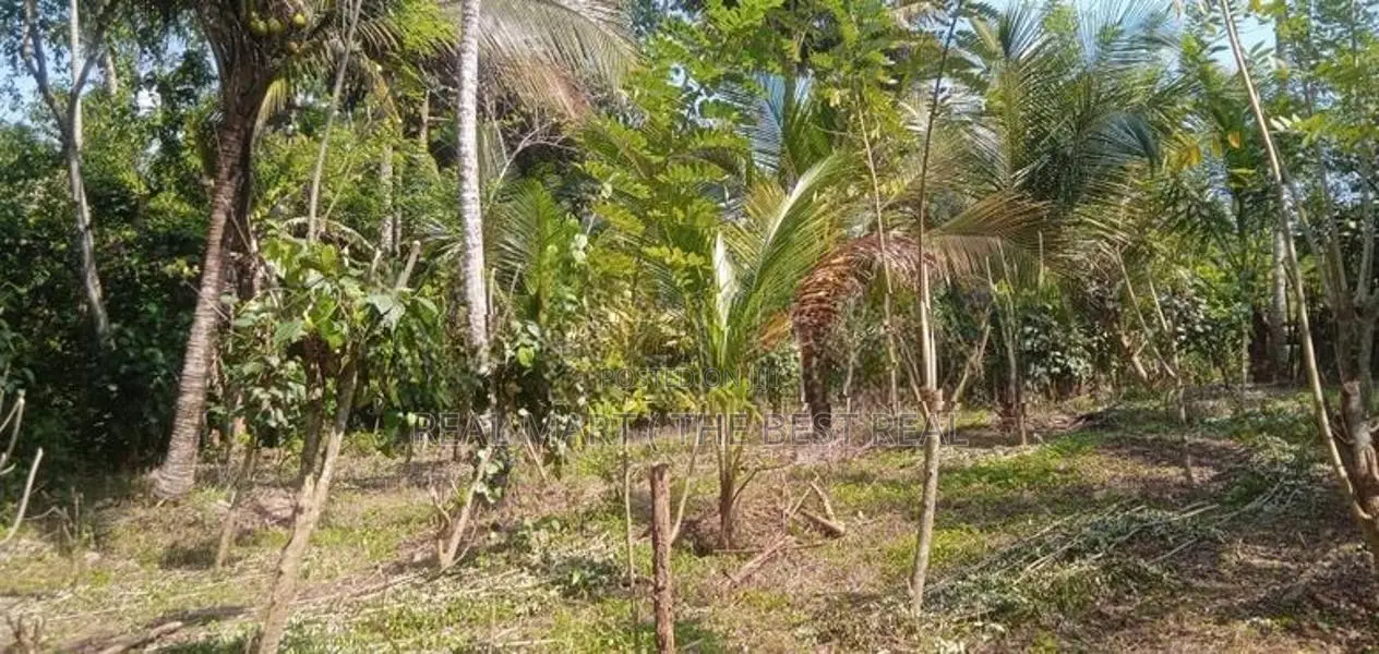 Galle : 50 Perches Land for Sale in Ahangama