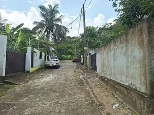 කඩුවෙල සුදුසු, හතරැස් ඉඩමක් විකිණීමට (ID:KDWL002S)