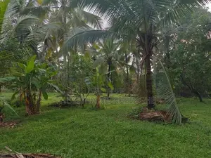 4 Acre Property For Sale In Dompe