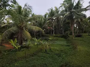 4 Acre Property For Sale In Dompe