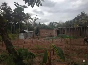 Land for Sale in Gampaha Bemmulla Wigoda
