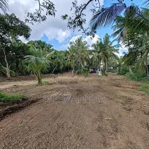 Land for Rent in Makumbura Kottawa