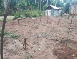 Land for Sale in Gampaha Bemmulla Wigoda