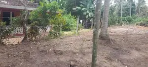 Land for Sale Yakkala