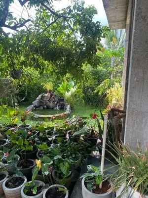 House for Sale in Henegama
