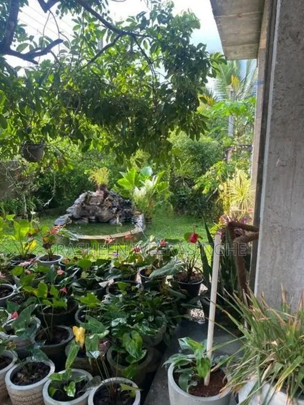 House for Sale in Henegama