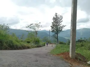 Land For Sale Nuwara Eliya Road Pundaluoya