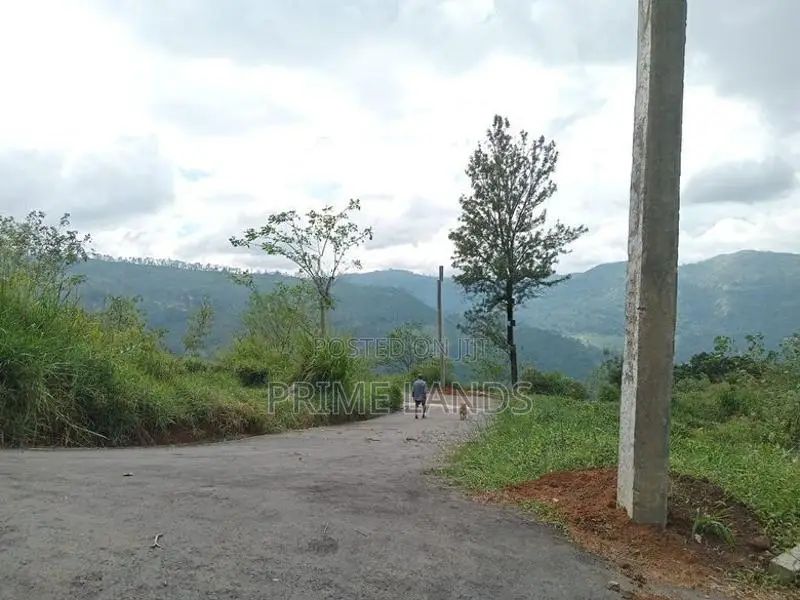 Land For Sale Nuwara Eliya Road Pundaluoya
