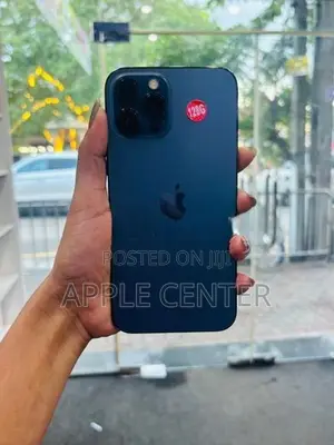 Apple iPhone 12 Pro Max (Used)