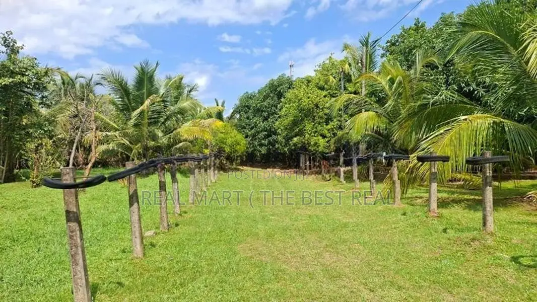 Embilipitiya : 5.5 Acre Valuable Land for Sale in Thunkama