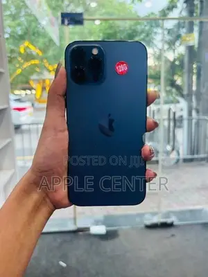 Apple iPhone 12 Pro Max (Used)