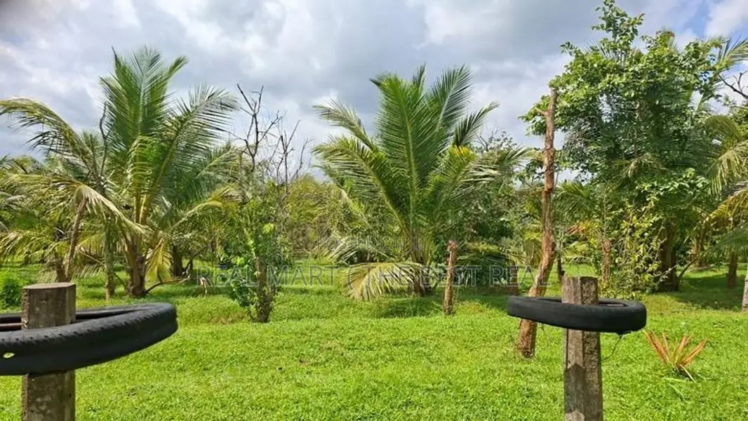 Embilipitiya : 5.5 Acre Valuable Land for Sale in Thunkama