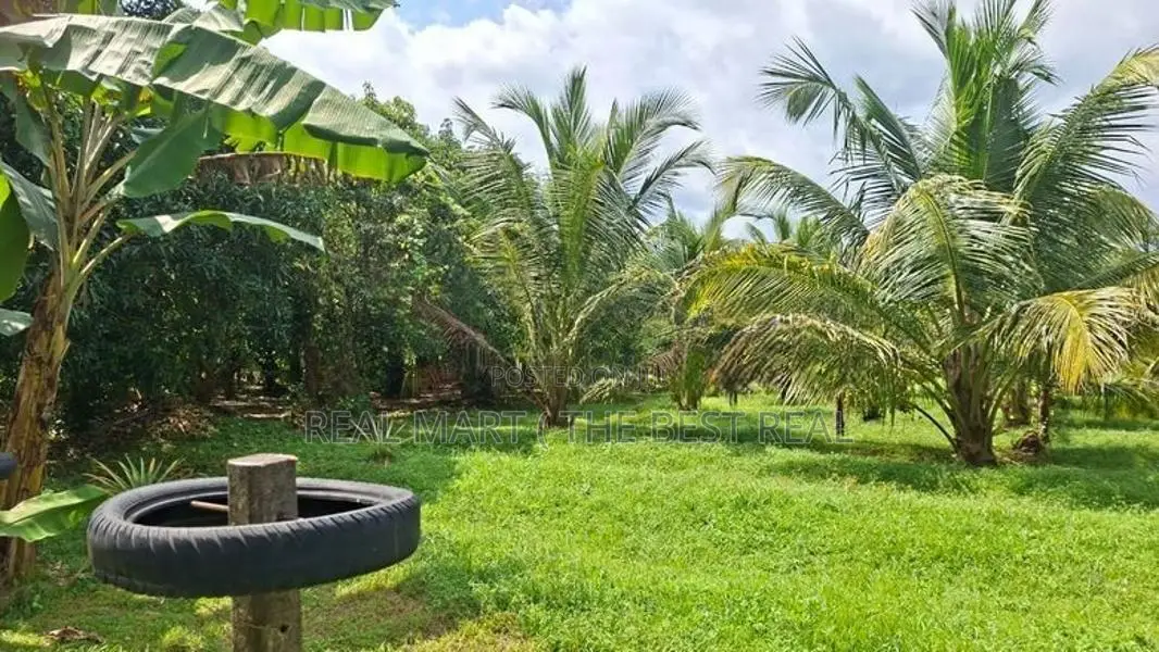Embilipitiya : 5.5 Acre Valuable Land for Sale in Thunkama