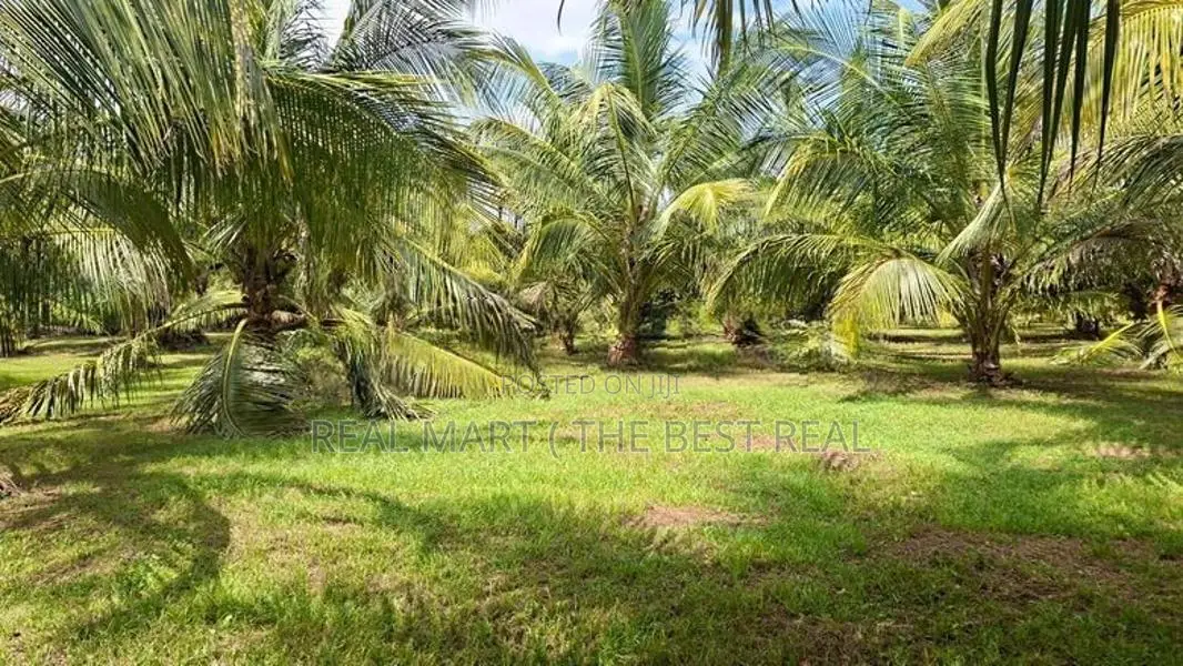 Embilipitiya : 5.5 Acre Valuable Land for Sale in Thunkama