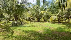 Embilipitiya : 5.5 Acre Valuable Land for Sale in Thunkama
