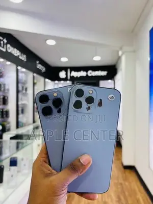 Apple iPhone 13 Pro Max (Used)