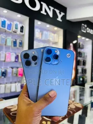 Apple iPhone 13 Pro Max (Used)