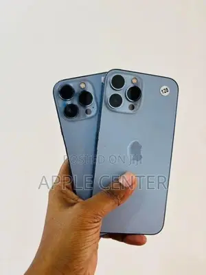 Apple iPhone 13 Pro Max (Used)