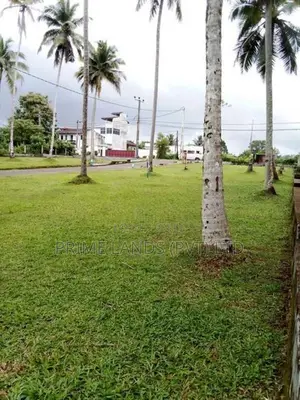 හොරන සව්ගස් හන්දියට ලඟින් හොඳ තැනක්