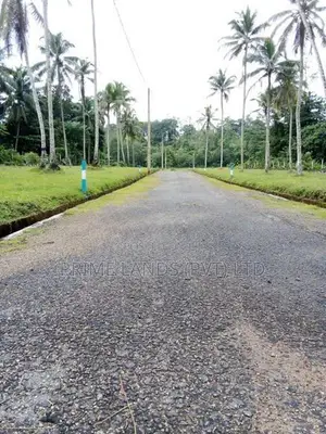හොරන සව්ගස් හන්දියට ලඟින් හොඳ තැනක්