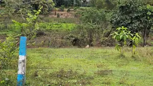 Land For Sale From Jalthara Embulgama Homagama - 6.5 perches