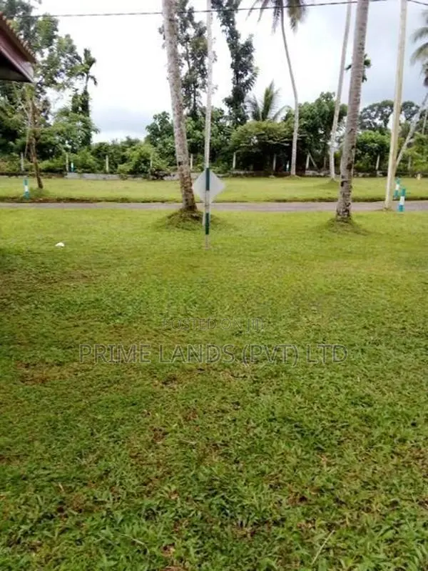 හොරන සව්ගස් හන්දියට ලඟින් හොඳ තැනක්