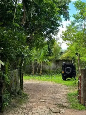 Land for Rent Kotte
