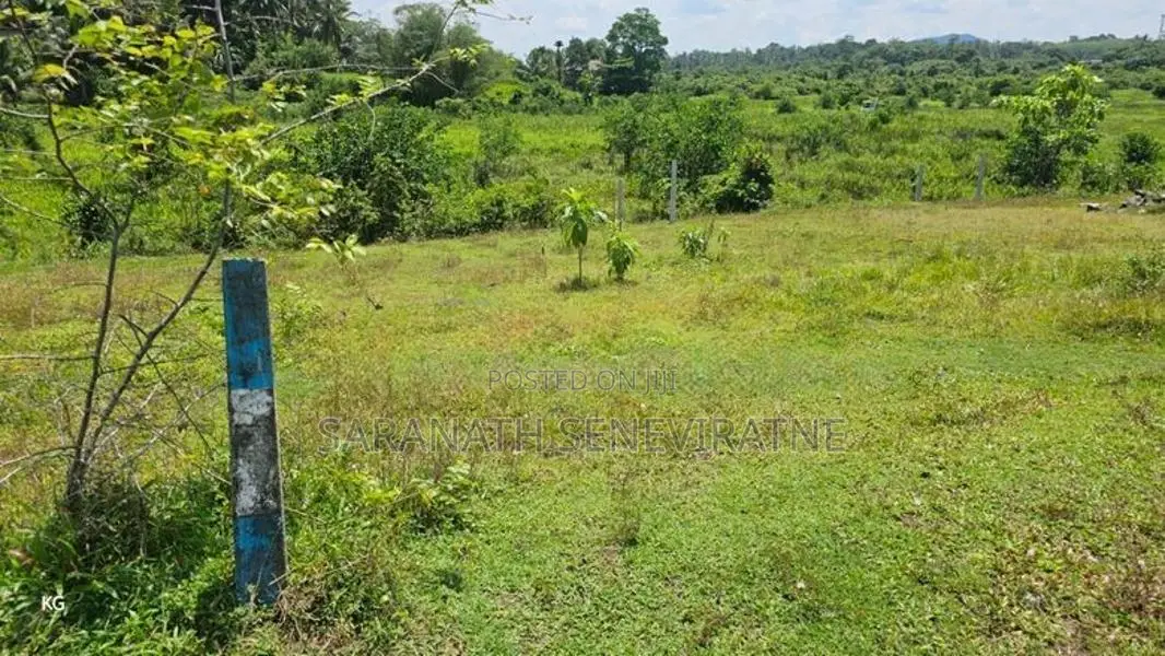 Land For Sale From Jalthara Embulgama Homagama - 6.5 perches