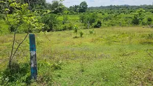 Land For Sale From Jalthara Embulgama Homagama - 6.5 perches