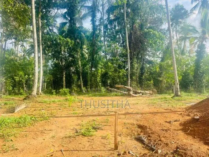 Land Plot for Sale in Yakkala