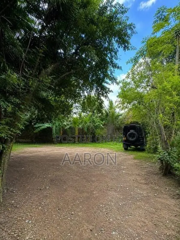 Land for Rent Kotte