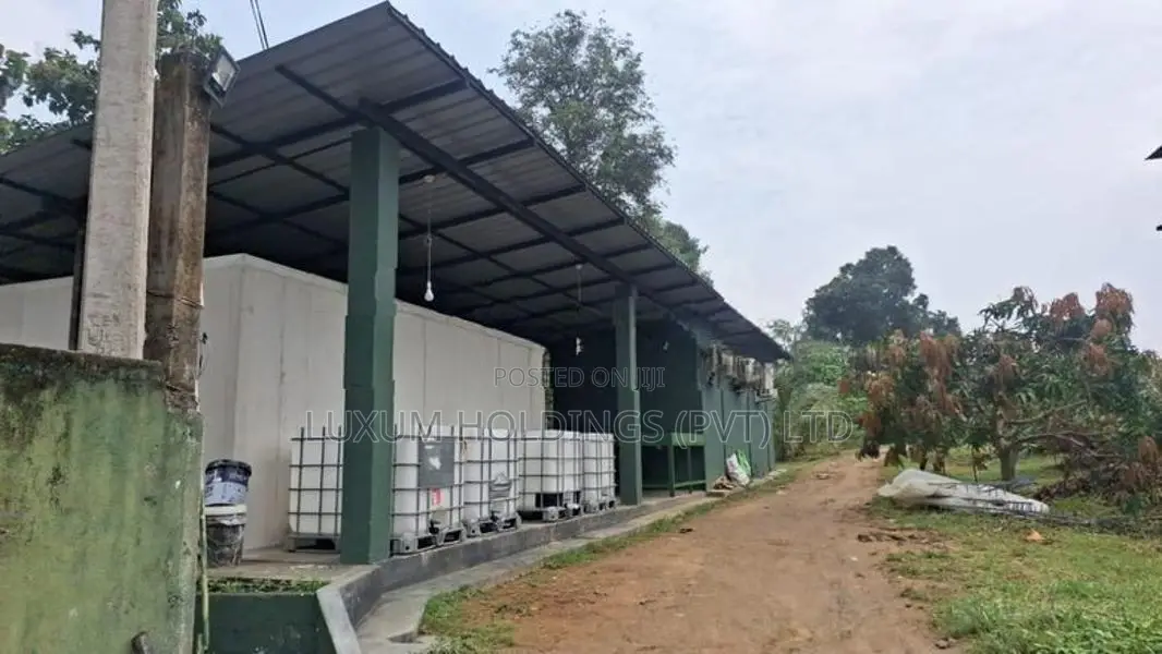 TJC අඹ සියලු පහසුකම් ඇති 100% ඵල දරන අක්කර 25.5 වත්තක් විකිණීමට ඇත