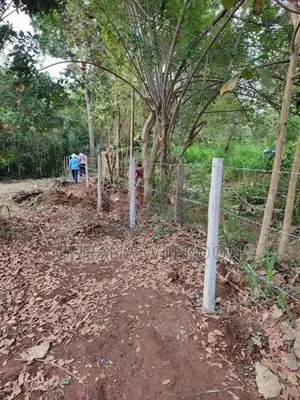 අනුරාධපුර විජයපුර ඉඩමක් විකිනීමට