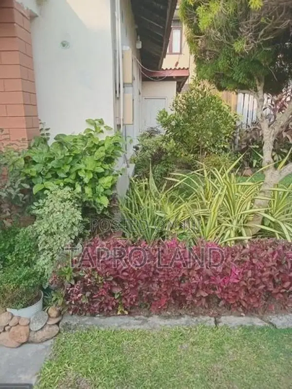 Well Maintained House with Beautiful Garden for Sale in Moratuwa