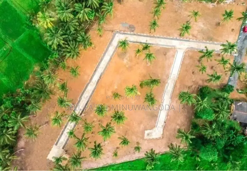 Land - Naiwela