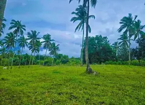 මීරීගමින් 13.6p ඉඩමක් විකිණීමට