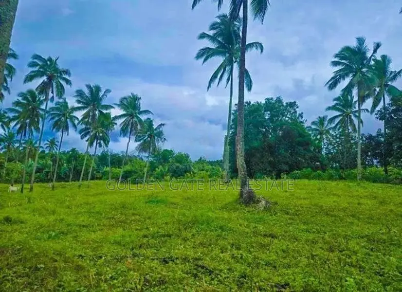 මීරීගමින් 13.6p ඉඩමක් විකිණීමට