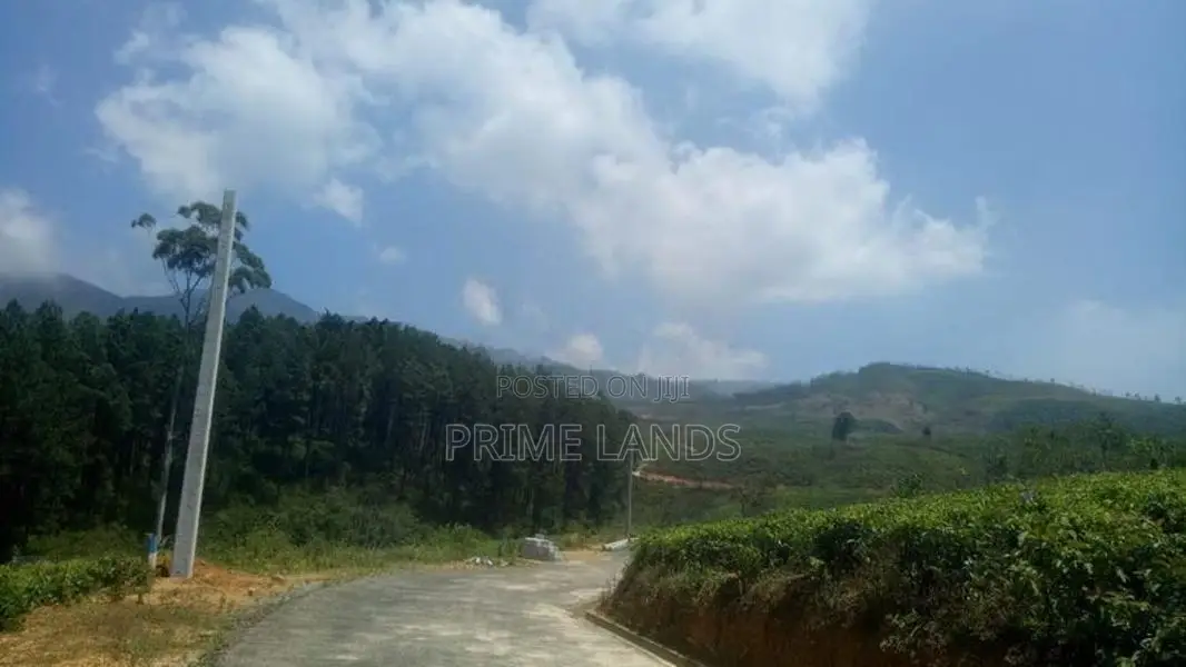 Land For Sale Nuwara Eliya Road Ramboda