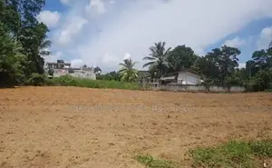 Bandaragama : 70P Prime Land for Sale in Manickwatta