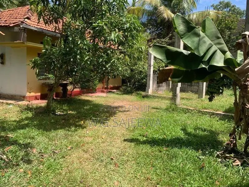 House with valuable Land for sale in Matara , Kamburupitiya