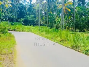 මීරිගම දිවුලපිටිය ප්‍රධාන පාරට නුදුරින් වටිනා ඉඩමක්