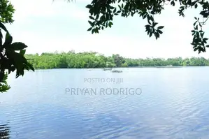 70 Perch Long River Frontage Prime Land for Sale in Hikkaduwa