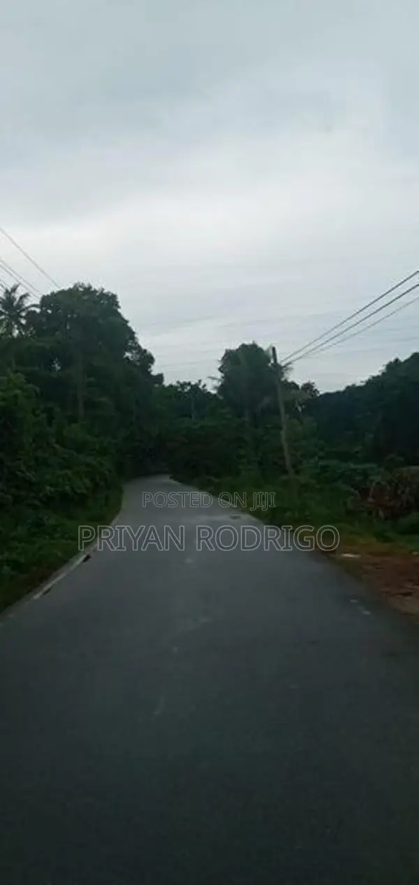 Malwana - Udumapitagama 3.25 Acres of Commercial Land for Sale