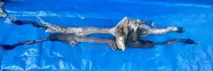 Nissan Xtrail T31 steering Rack