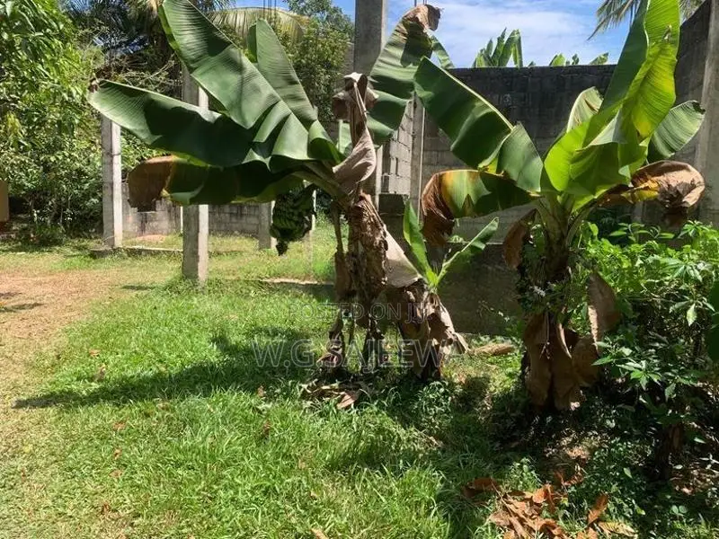 Valuable Land with house for sale in Matara , Kamburupitiya