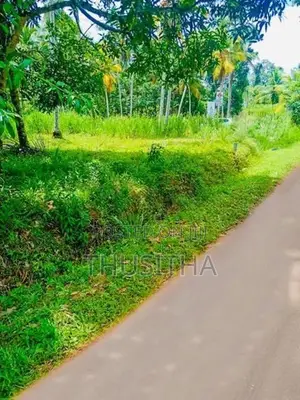 මීරිගම දිවුලපිටිය ප්‍රධාන පාරට නුදුරින් වටිනා ඉඩමක්