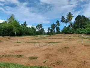 හිරිකැටියට සංචාරක කලාපයේ ඉඩමක්