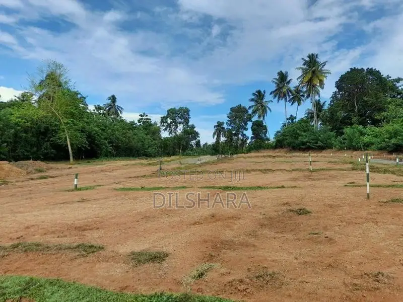 හිරිකැටියට සංචාරක කලාපයේ ඉඩමක්