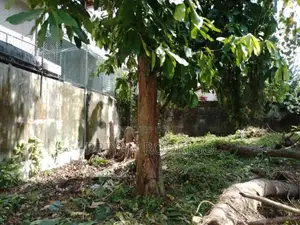 18.6 Perch Land for Sale on Ananda Balika Mawatha, Pita Kotte
