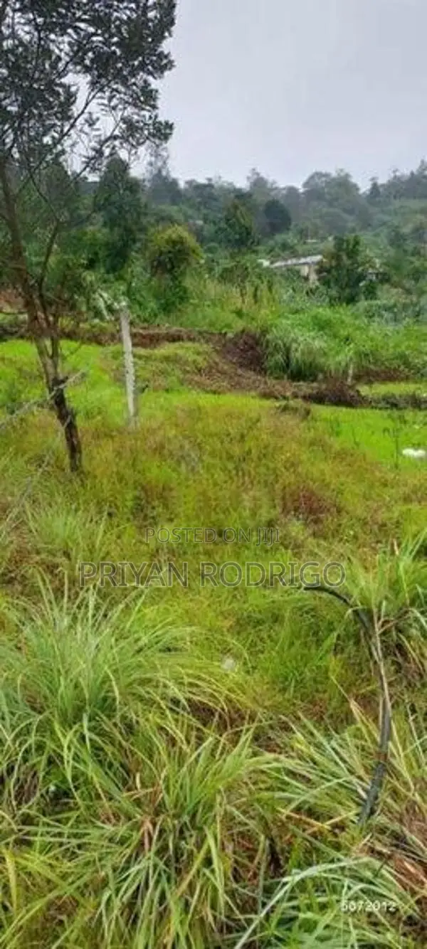 Haggala Gardens, 16 Perches of Land for Sale